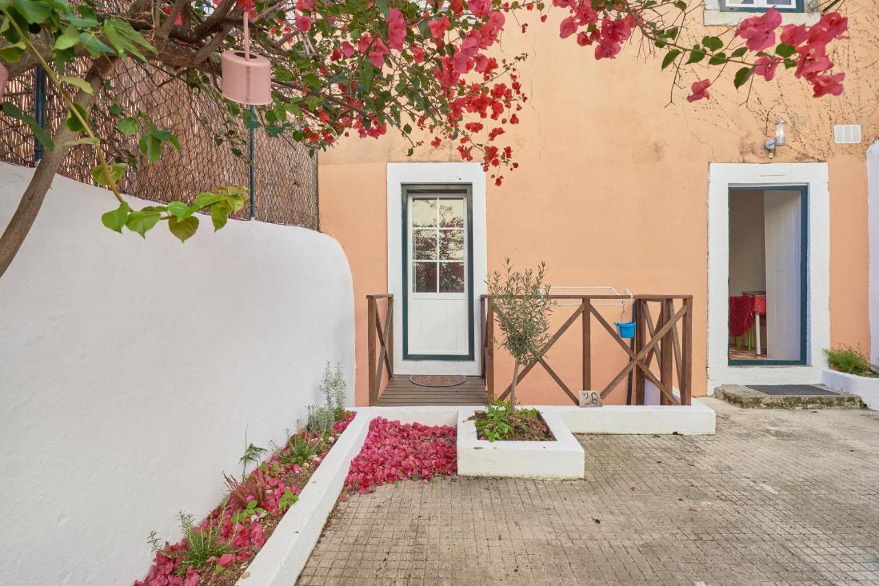Apartment Terrace